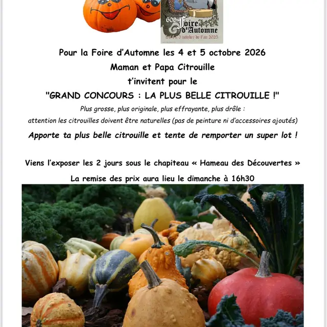CONCOURS DE CITROUILLES de la Foire d'Automne d'Abondance_Abondance