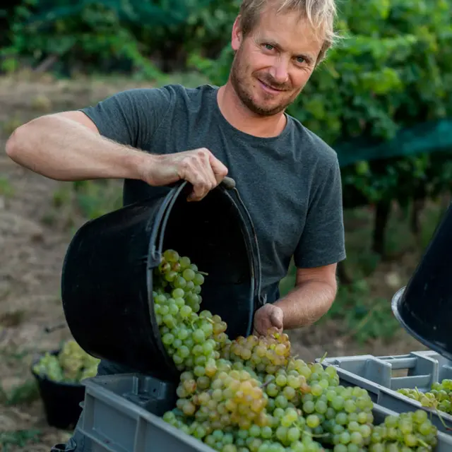 Domaine des Claus