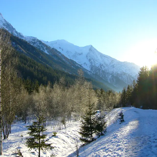 Sentier des Bois