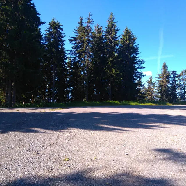 aire-de-service-de-la-foret