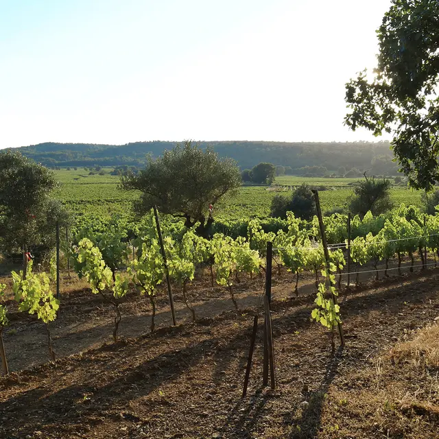 Château Yssole_Cabasse