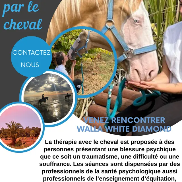 Thérapie médiatisé par le cheval