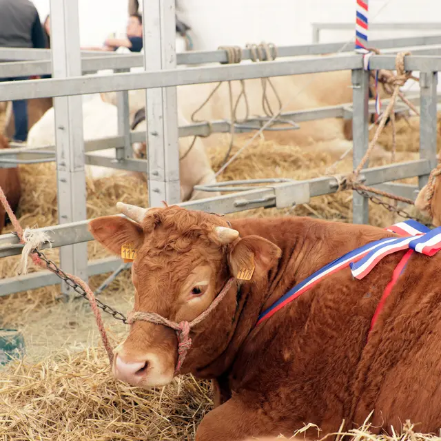 Comice Agricole_Chazelles-sur-Lyon