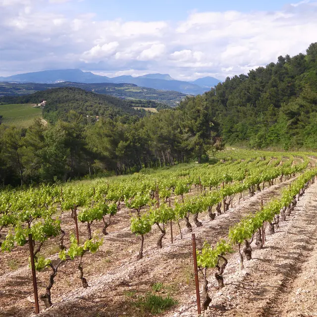 Domaine des Roches Fortes