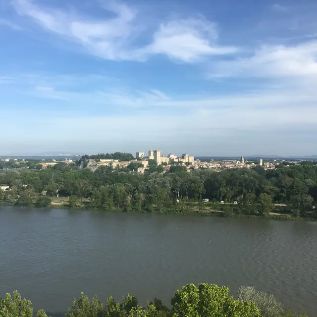 À vélo sur l'Île de la Barthelasse_Avignon