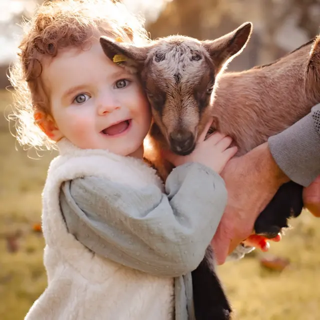 mini séance photo à la chèvrerie