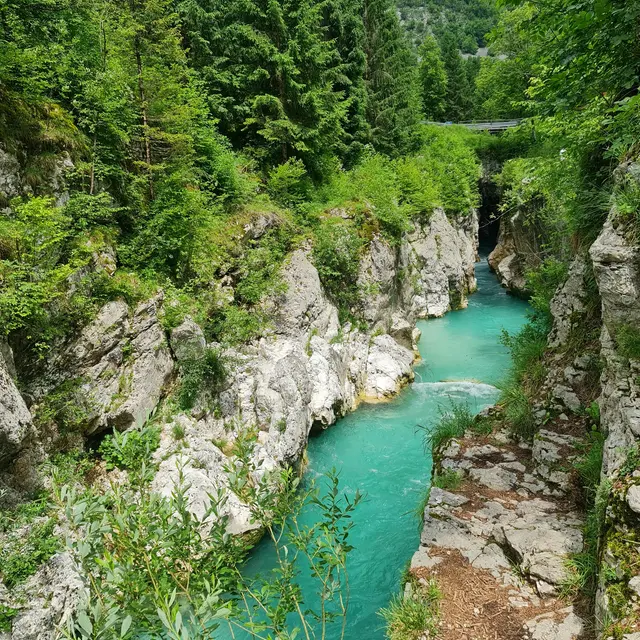 Randonnée - Les Gorges à Montpezat_Digne-les-Bains
