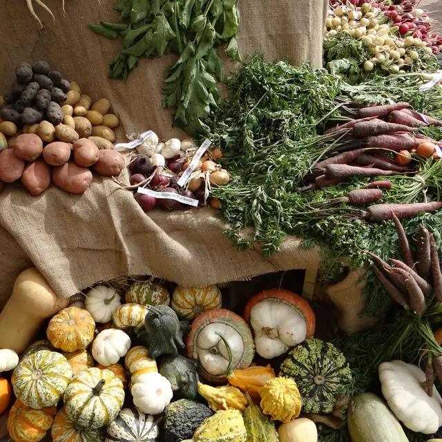 Visite des Jardins de Cocagne du Nord Drôme de  Ferme en Ferme_Andancette