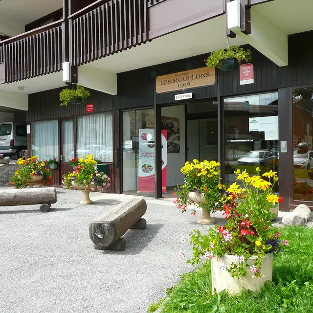 Les Mouflons I - 35 m² - n°649