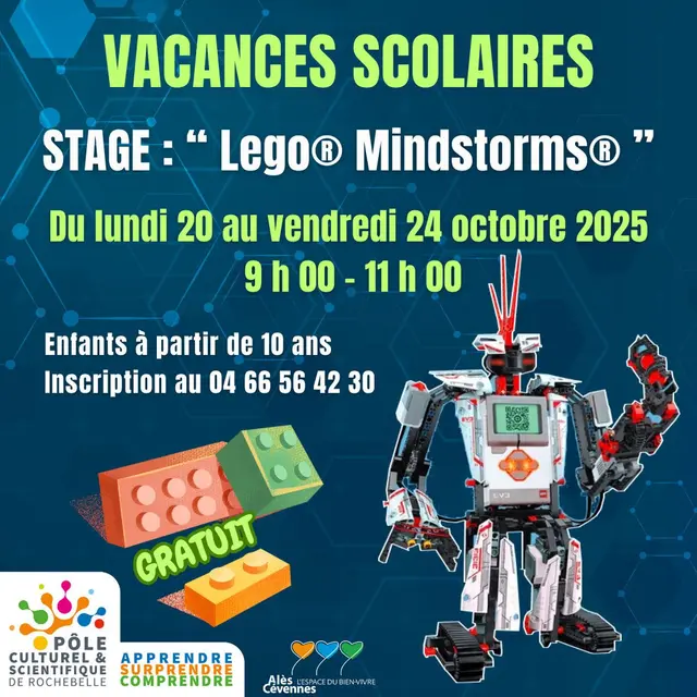 Stage Vacances Scolaires Robot Lego® Minstorm®
