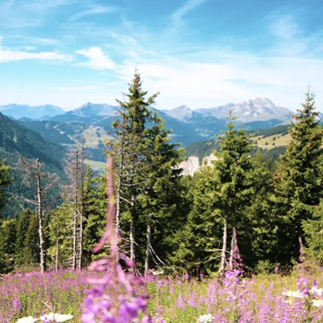 Escapade à Châtel