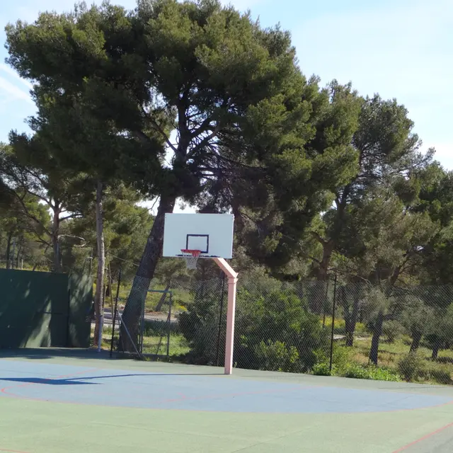 Service jeunesse & sport