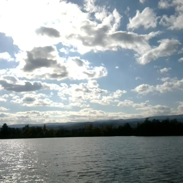 Etang de Savigneux