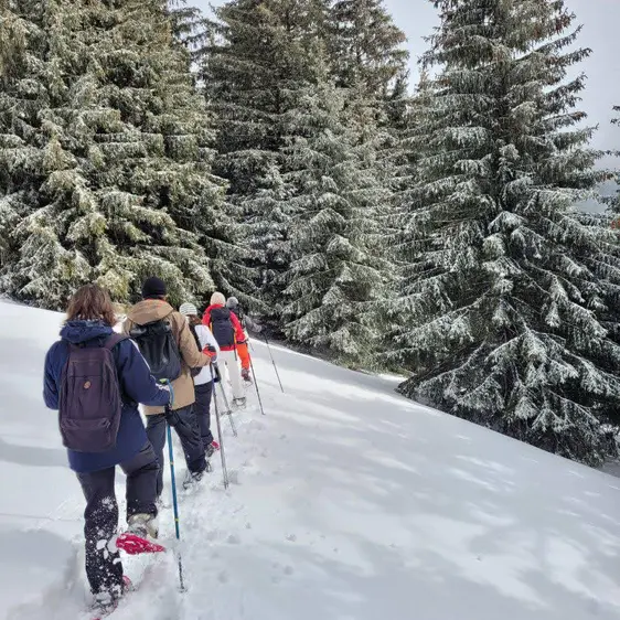 Randonnée hivernale à la journée_Abondance