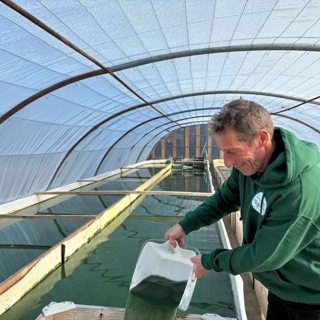 Spiruline du Mas Éole_Carcès