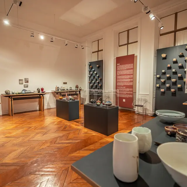 Musée Joseph Déchelette - Les Céramiques_Roanne