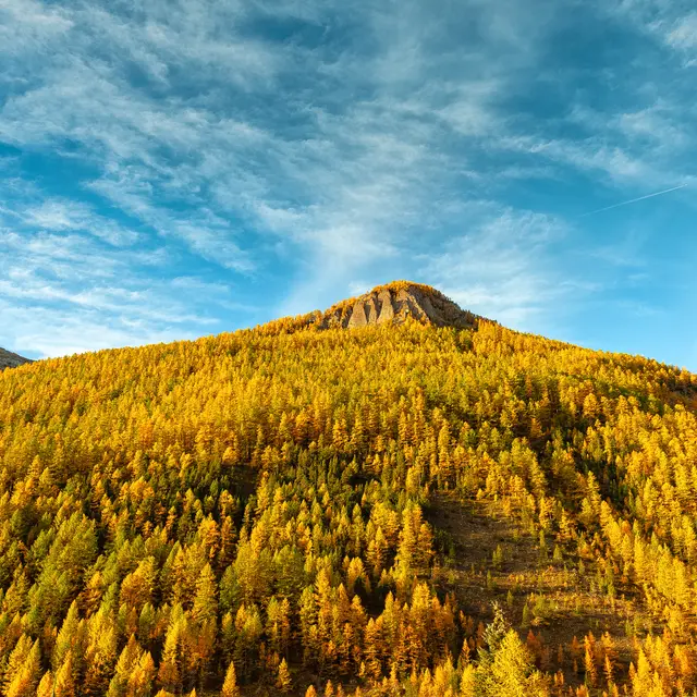 Tour du château_Selonnet