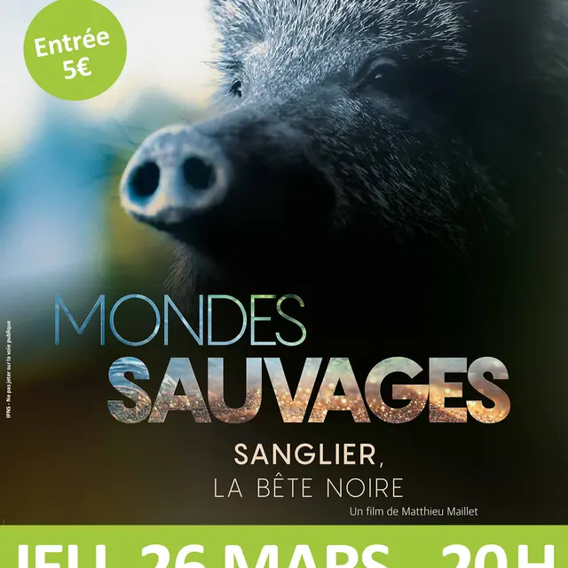 FESTIVAL DU FILM VERT : SANGLIER, LA BÊTE NOIRE_Valleiry