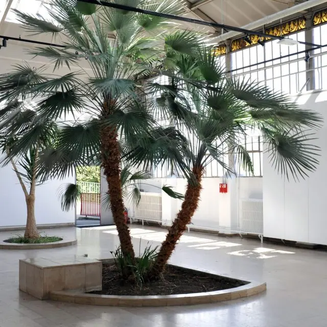 Exposition Fake Cake de Jeanne Chopy à La Serre_Saint-Étienne