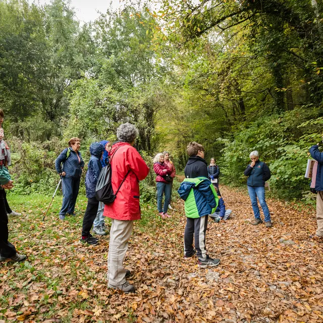Balade : à la découverte de la forêt autour du lac de Paladru, d'hier à aujourd'hui_Villages du lac de Paladru