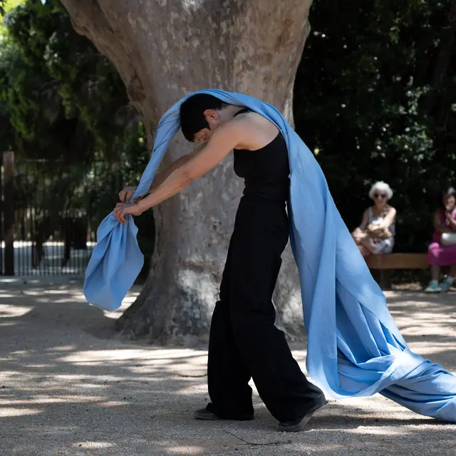 Spectacle - Bleu_Le Beausset