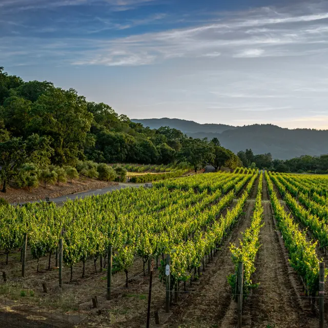 Vignes & Pierres Sèches à vélo