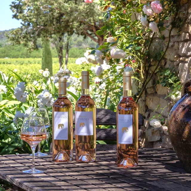 Château des Annibals (cave Brignoles)_Brignoles