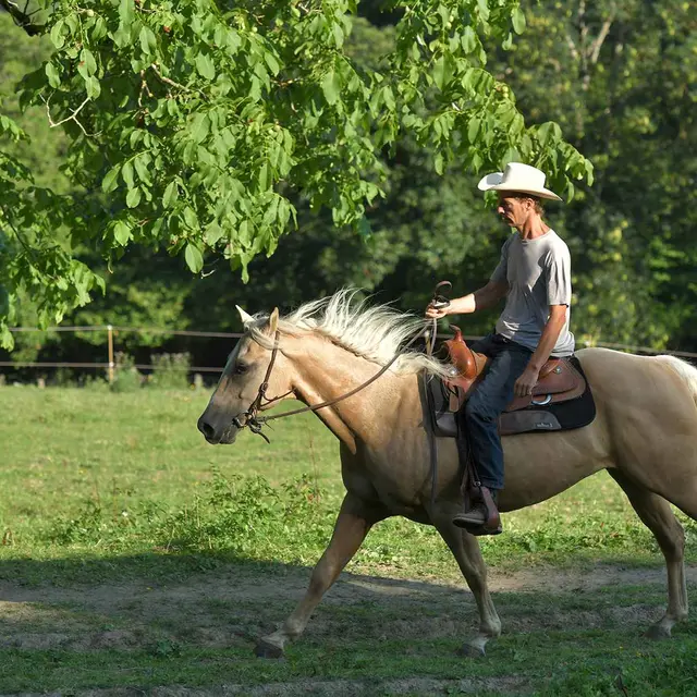Randonnée équestre à Ferrières-sur-Sichon