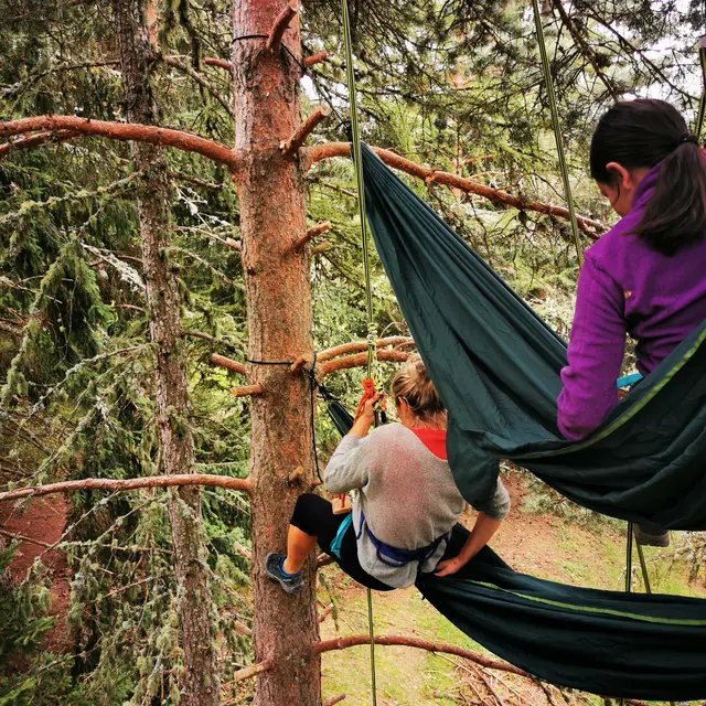 Relaxation dans les arbres