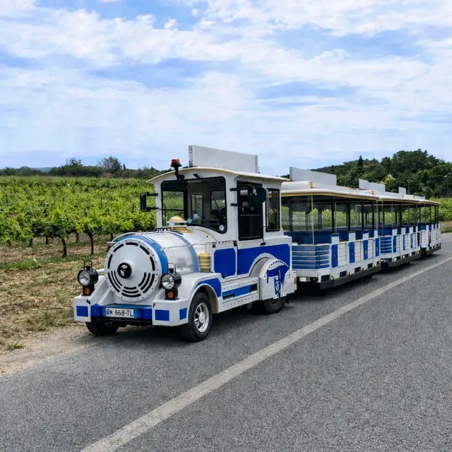 Circuit découverte de La Londe les Maures en Petit Train_La Londe-les-Maures