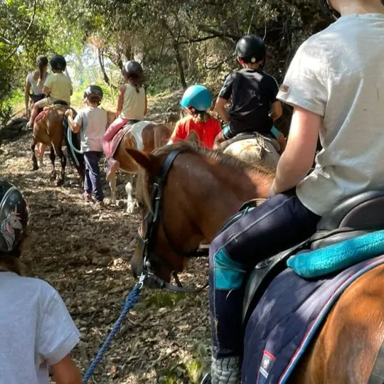 Stage d'été du club Animalin_Saint-Martin-de-Valgalgues