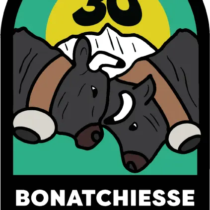 Combat de reines - Bonatchiesse 2026_Val de Bagnes