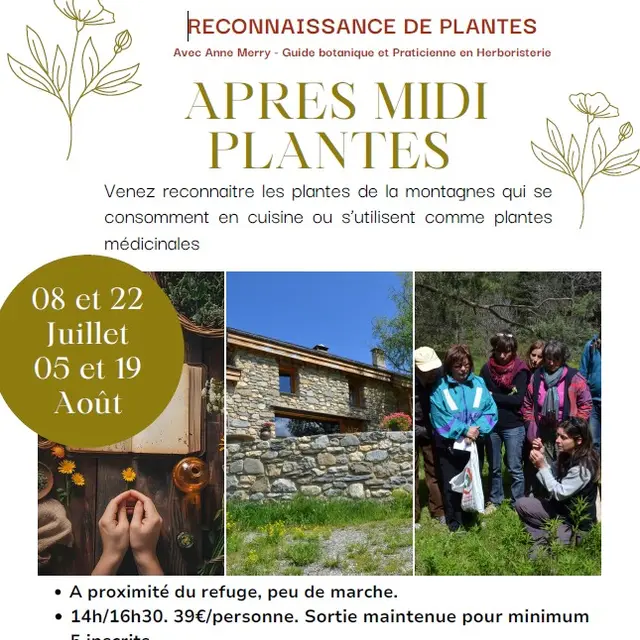 Les après-midi PLANTES au refuge du Pic du Mas de la Grave_La Grave