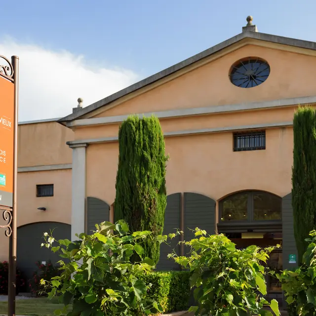 Domaine Saint Jean le Vieux - Saint Maximin la Sainte Baume