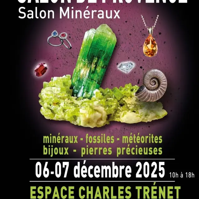Salon Minéraux_Salon-de-Provence