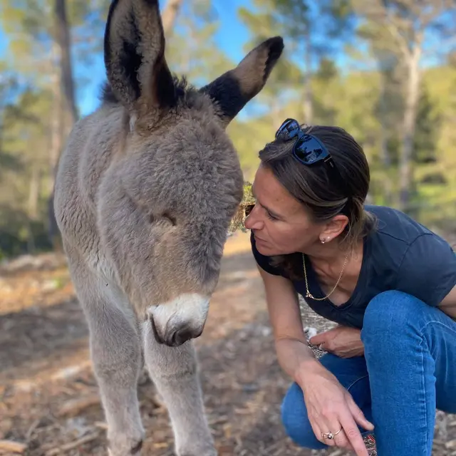 Découverte de l'asinerie et balade au pas de l'âne - 1/2 journée_Cuges-les-Pins