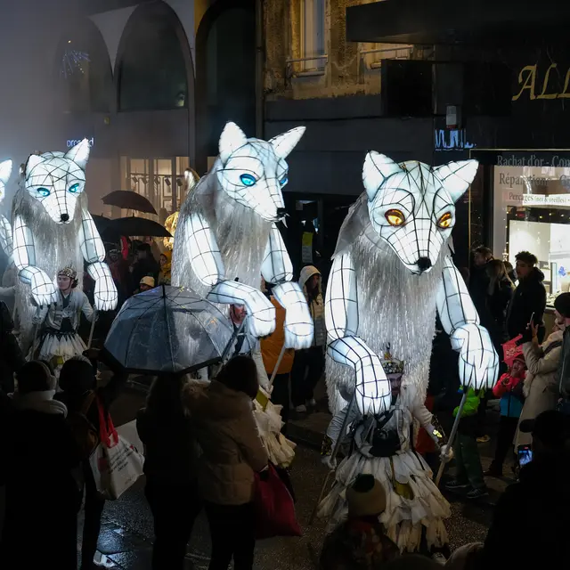 Fête de l'Hiver_Oyonnax