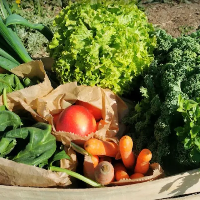 Panier de légumes ferme de l'Etoile