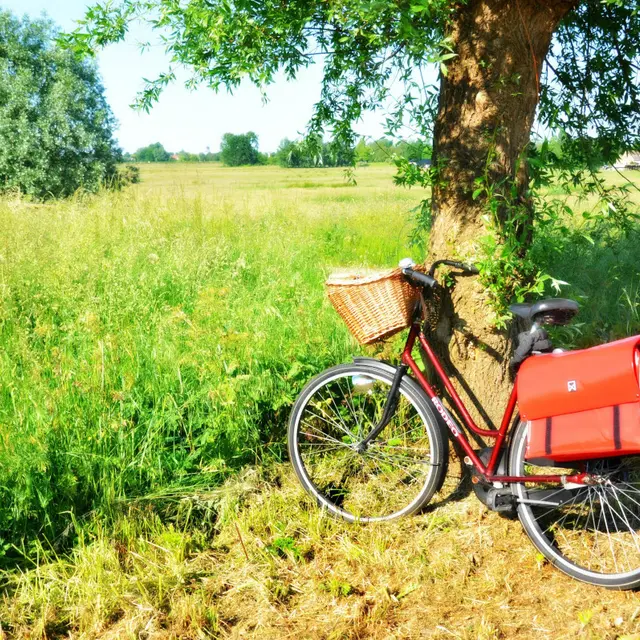 La plaine agricole de Saint Pierre à vélo, Saint Julien le Montagnier
