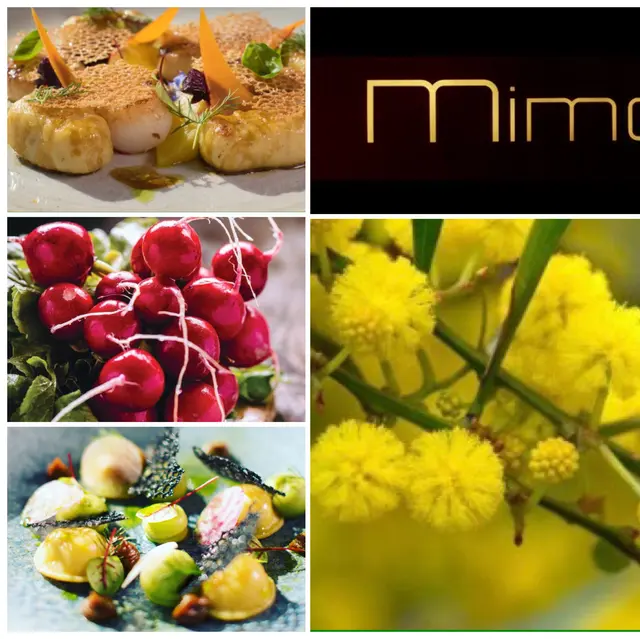 Restaurant Mimosa_Bormes-les-Mimosas