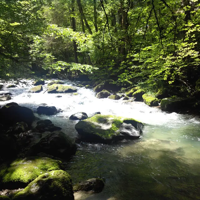 Les berges du Brevon