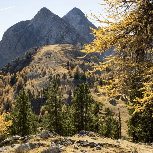 Les Peygus - Cervières