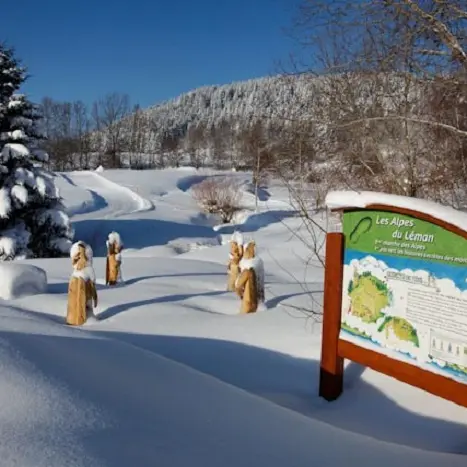 Secrets de fées hiver