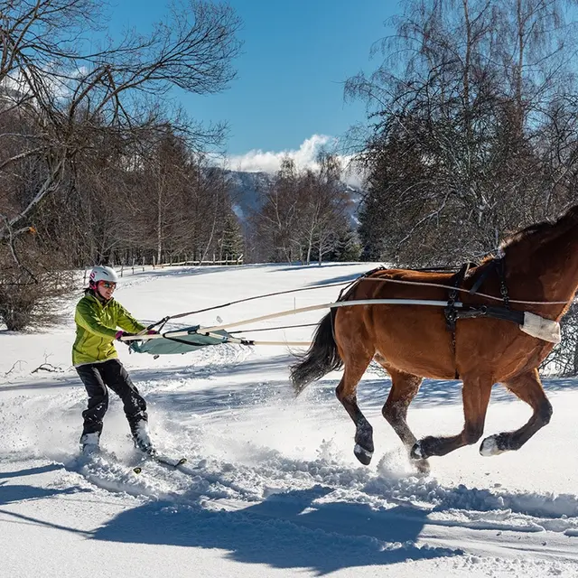ski joering