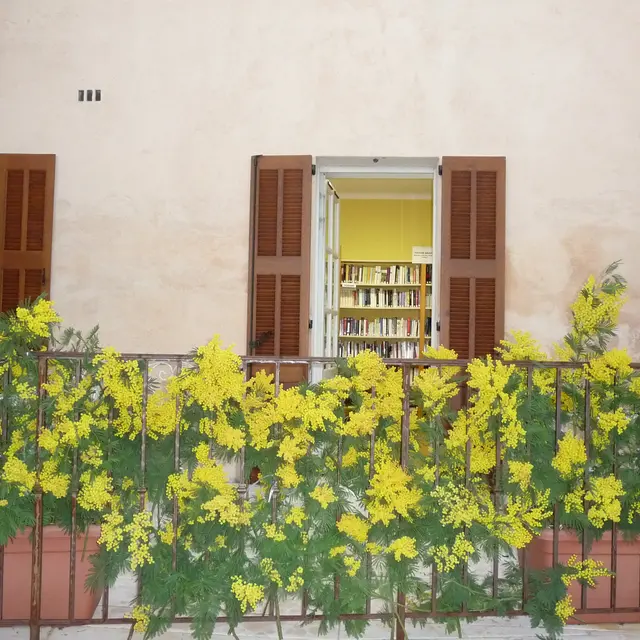 Médiathèque Tanneron