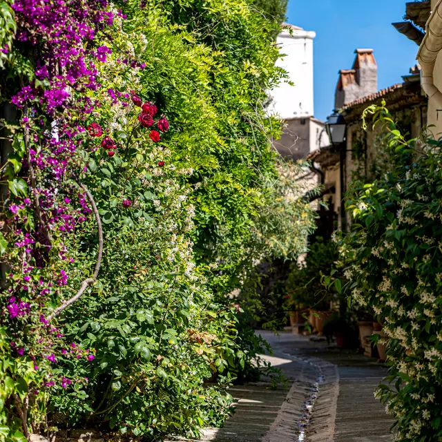 Circuit historique Grimaud
