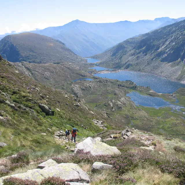 Les étangs de Bassies
