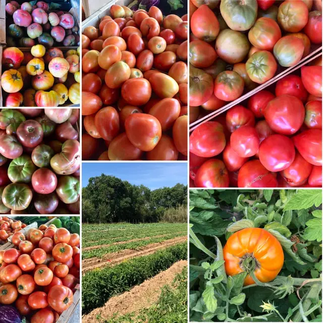 Producteur Fruits & Legumes