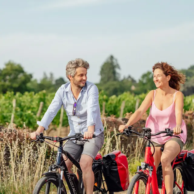 Boucle vignoble Loire Layon Aubance