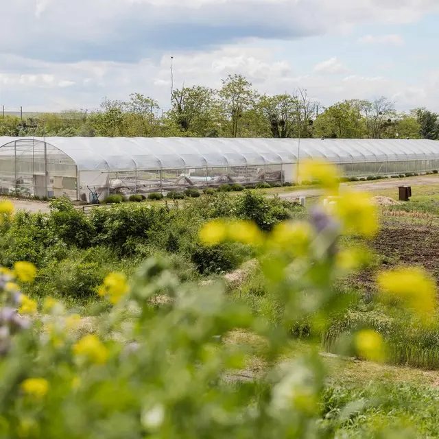Lil’Ô, friche industrielle en reconversion écologique !